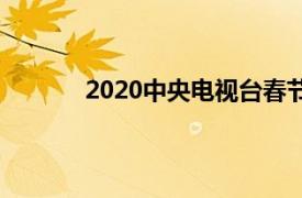 2020中央电视台春节联欢晚会节目单主持人