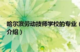 哈尔滨劳动技师学校的专业（哈尔滨劳动技师学院相关内容简介介绍）