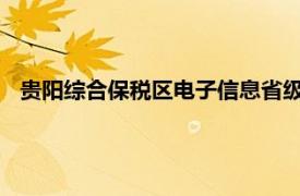 贵阳综合保税区电子信息省级外贸转型升级基地相关内容介绍