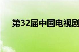 第32届中国电视剧飞天奖优秀电视剧奖