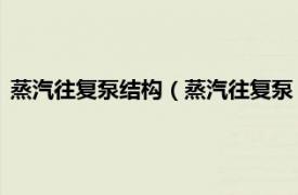 蒸汽往复泵结构（蒸汽往复泵 中国国家标准相关内容简介介绍）