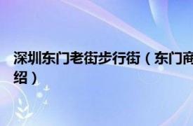 深圳东门老街步行街（东门商业街 深圳东门老街相关内容简介介绍）