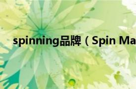 spinning品牌（Spin Master 品牌相关内容简介介绍）