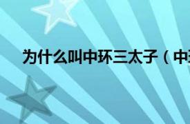 为什么叫中环三太子（中环三太子相关内容简介介绍）