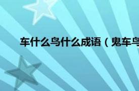 车什么鸟什么成语（鬼车鸟 汉语词语相关内容简介介绍）