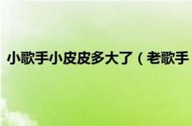 小歌手小皮皮多大了（老歌手 小皮演唱歌曲相关内容简介介绍）