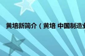 黄培新简介（黄培 中国制造业门户网总编相关内容简介介绍）