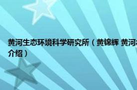 黄河生态环境科学研究所（黄锦辉 黄河水资源保护科学研究所高级工程师相关内容简介介绍）