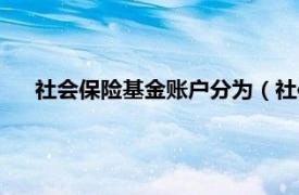 社会保险基金账户分为（社保基金账户相关内容简介介绍）