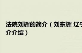 法院刘辉的简介（刘东辉 辽宁省高级人民法院审判员相关内容简介介绍）