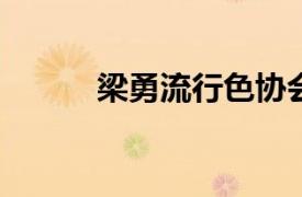 梁勇流行色协会常务副会长简介