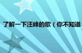 了解一下汪峰的歌（你不知道 汪峰演唱歌曲相关内容简介介绍）