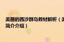 美丽的西沙群岛教材解析（美丽的西沙群岛 套装共4册相关内容简介介绍）