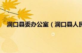 洞口县委办公室（洞口县人民政府办公室相关内容简介介绍）