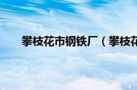 攀枝花市钢铁厂（攀枝花钢铁厂相关内容简介介绍）