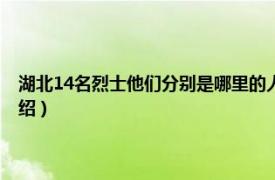 湖北14名烈士他们分别是哪里的人（郭春生 湖北省籍烈士相关内容简介介绍）