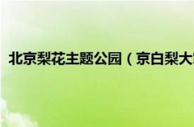 北京梨花主题公园（京白梨大家族主题公园相关内容简介介绍）