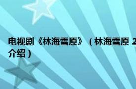 电视剧《林海雪原》（林海雪原 2002年李文歧执导的电视剧相关内容简介介绍）