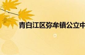 青白江区弥牟镇公立中心卫生院医务科科长简介