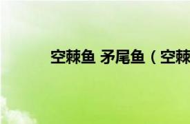 空棘鱼 矛尾鱼（空棘鱼科相关内容简介介绍）