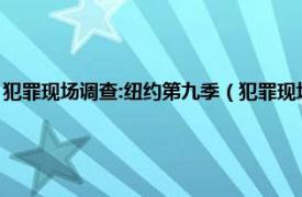 犯罪现场调查:纽约第九季（犯罪现场调查：纽约第八季相关内容简介介绍）