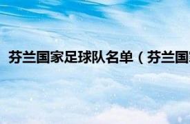 芬兰国家足球队名单（芬兰国家男子足球队相关内容简介介绍）