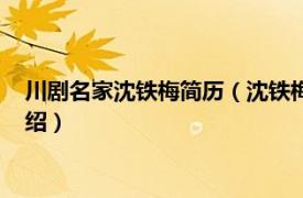 川剧名家沈铁梅简历（沈铁梅川剧表演艺术研究相关内容简介介绍）