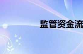 监管资金流相关内容简介