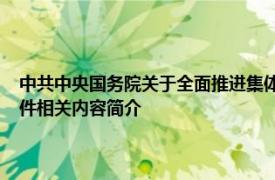 中共中央国务院关于全面推进集体林权制度改革的意见；2008年国务院文件相关内容简介