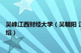 吴峰江西财经大学（吴朝阳 江西财经大学副教授相关内容简介介绍）