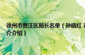 徐州市贾汪区局长名单（孙晓红 徐州市贾汪区水利局纪检书记相关内容简介介绍）