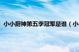 小小厨神第五季冠军是谁（小小厨神第五季相关内容简介介绍）