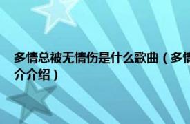 多情总被无情伤是什么歌曲（多情总被无情伤 秦诚骏演唱歌曲相关内容简介介绍）