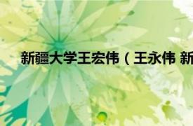 新疆大学王宏伟（王永伟 新疆大学讲师相关内容简介介绍）