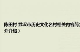 陈田村 武汉市历史文化名村相关内容简介介绍（陈田村 武汉市历史文化名村相关内容简介介绍）