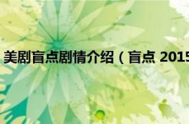 美剧盲点剧情介绍（盲点 2015年美国电视剧相关内容简介介绍）