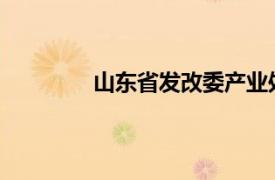 山东省发改委产业处副处长相关内容简介