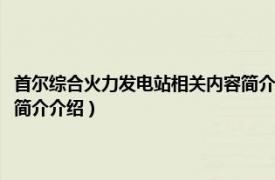 首尔综合火力发电站相关内容简介介绍视频（首尔综合火力发电站相关内容简介介绍）