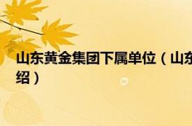 山东黄金集团下属单位（山东黄金集团有限公司相关内容简介介绍）