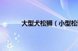 大型犬松狮（小型松狮犬相关内容简介介绍）