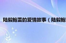 陆毅鲍蕾的爱情故事（陆毅鲍蕾：爱上爱情相关内容简介介绍）