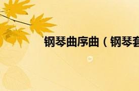 钢琴曲序曲（钢琴套曲相关内容简介介绍）