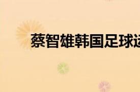 蔡智雄韩国足球运动员相关内容介绍