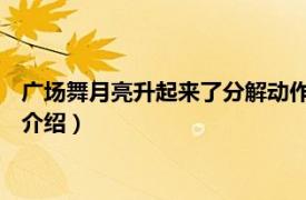 广场舞月亮升起来了分解动作（月亮升起来 广场舞相关内容简介介绍）