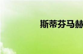 斯蒂芬马赫相关内容介绍