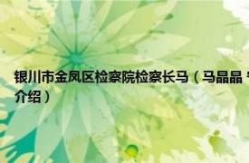 银川市金凤区检察院检察长马（马晶晶 宁夏回族自治区人民检察院检察员相关内容简介介绍）