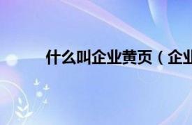 什么叫企业黄页（企业黄页相关内容简介介绍）