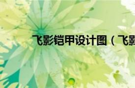 飞影铠甲设计图（飞影铠甲相关内容简介介绍）