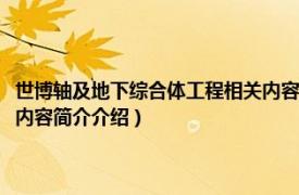 世博轴及地下综合体工程相关内容简介介绍（世博轴及地下综合体工程相关内容简介介绍）