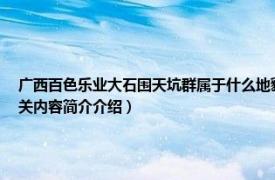 广西百色乐业大石围天坑群属于什么地貌（广西百色乐业大石围天坑群国家地质公园相关内容简介介绍）